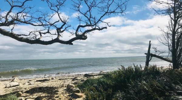 This 1-Mile Trail At Ellisville Harbor State Park In Massachusetts Takes You To A Nearly Empty Beach