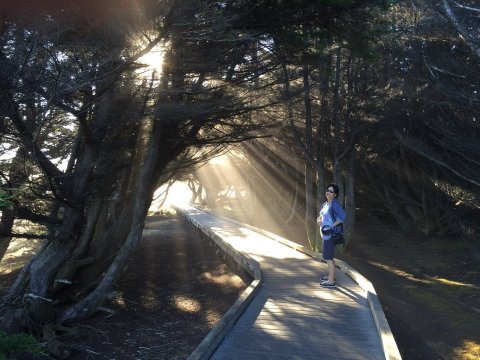 You Can Explore For Hours Upon The Boardwalk At MacKerricher State Park In Northern California