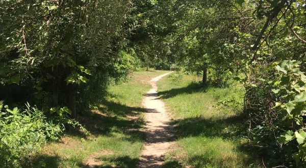Take A Breezy 2-Mile Hike At Haddam Meadows State Park, A Lovely Hidden Gem In Connecticut