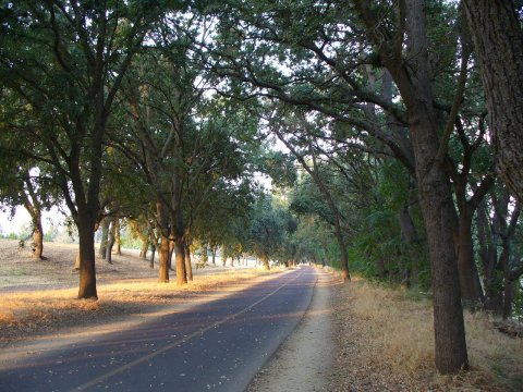 Jedediah Smith Trail Is A 32-Mile Path In Northern California That Winds Alongside Lakes, Rivers, And Parks