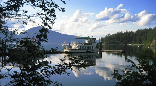 Catch A Rare Glimpse Of Magnificent Eagles On The Birds Of Prey Cruise Across Lake Pend Oreille In Idaho