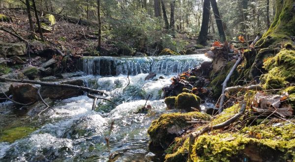 A Trail Full Of Cascade Stream Views In State Game Lands Will Lead You To A Waterfall Paradise In Pennsylvania