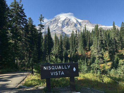 Nisqually Vista Is A Low-Key Washington Hike That Has An Amazing Payoff