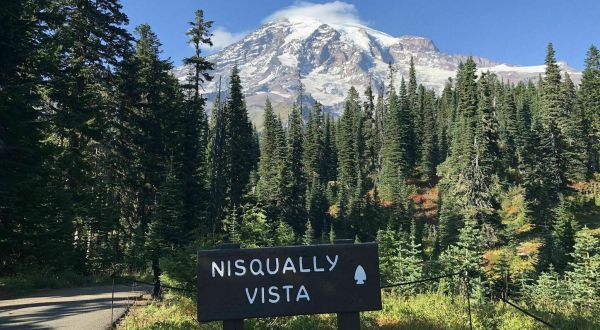 Nisqually Vista Is A Low-Key Washington Hike That Has An Amazing Payoff