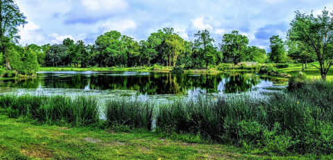 You'll Feel Miles Away From It All At The Beautiful Brechtel Park In New Orleans