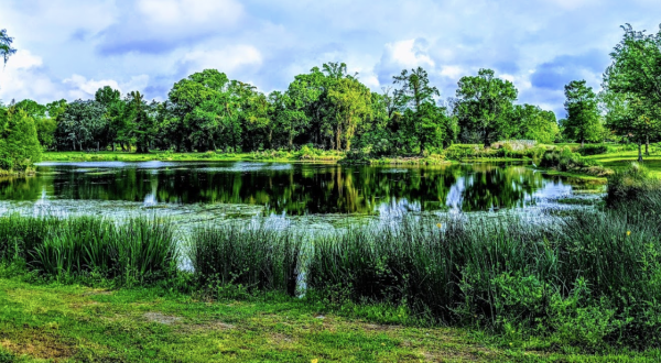 You’ll Feel Miles Away From It All At The Beautiful Brechtel Park In New Orleans