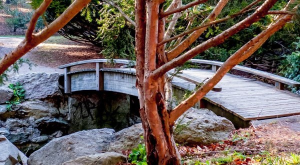 Explore The 281-Acre Arnold Arboretum Of Harvard In Massachusetts, A Beautiful Year Round Destination
