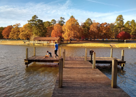 You'll Never Want To Leave The Natural Paradise That Is Lincoln Parish Park In Louisiana