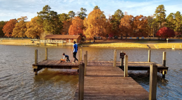 You’ll Never Want To Leave The Natural Paradise That Is Lincoln Parish Park In Louisiana