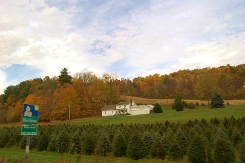 Take A Fall Color Drive And Fall In Love With Ohio All Over Again Along The Wally Road Scenic Byway