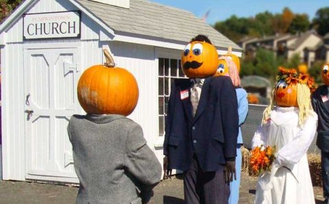 You Can Drive Through The Festive Pumpkintown USA Halloween Experience In Connecticut This Year