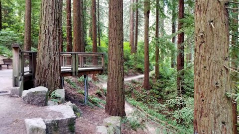 Admission-Free, Hoyt Arboretum In Oregon Is The Perfect Day Trip Destination