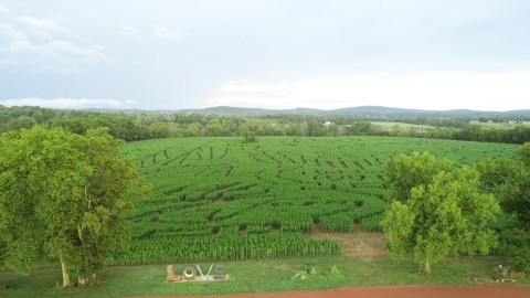 Navigate Virginia's Largest Corn Maze At Liberty Mills Farm For A Festive Fall Adventure