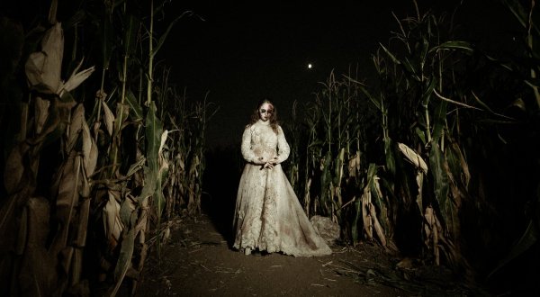 This Terrifying Corn Maze In Colorado Is Located Along One Of The Most Haunted Roads In America