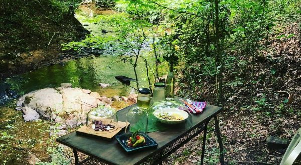 Dine Alone In The Woods At The One-Seat, Zero Contact Restaurant, Ett In Georgia
