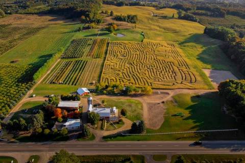 Visiting Jacob’s 10-Acre Corn Maze In Michigan Is A Classic Fall Tradition