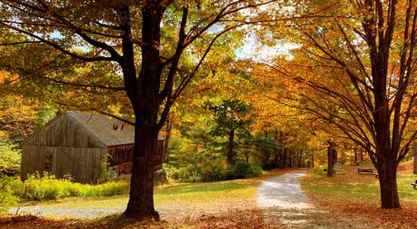 A Visit To Moore State Park In Autumn Is An Other-Worldly Massachusetts Experience