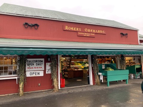 Sink Your Teeth Into Warm Apple Cider Donuts At Rogers Orchards In Connecticut