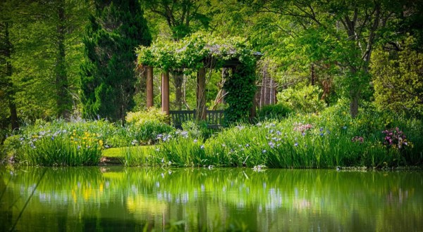 Moore Farms Botanical Garden Is A Fascinating Spot in South Carolina That’s Straight Out Of A Fairy Tale