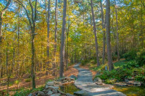 The Garvan Woodland Gardens Tour In Arkansas Is A Classic Fall Tradition