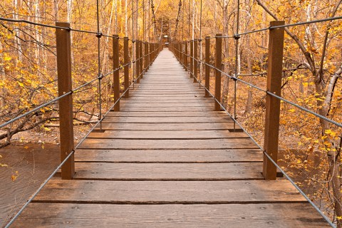 Walk Across This Swinging Bridge For A Gorgeous View Of Maryland's Fall Colors