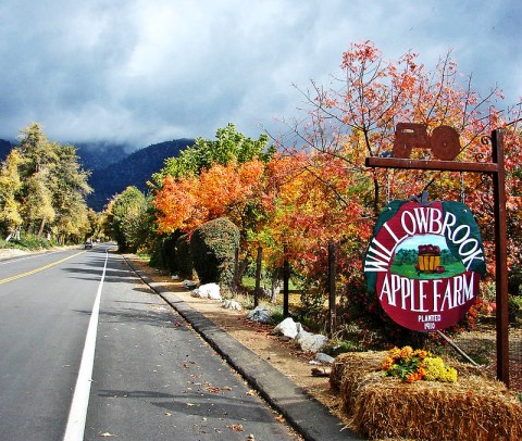 Press Your Own Apple Cider At Willowbrook Apple Farm, A Charming Orchard In Southern California Where Fall Is In Full Swing