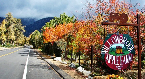 Press Your Own Apple Cider At Willowbrook Apple Farm, A Charming Orchard In Southern California Where Fall Is In Full Swing