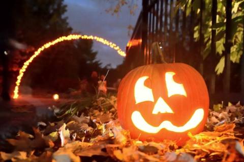The Hershey Gardens Pumpkin Glow In Pennsylvania Is A Classic Fall Tradition