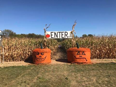 Get Lost In This Awesome 10-Acre Corn Maze Near Detroit This Autumn