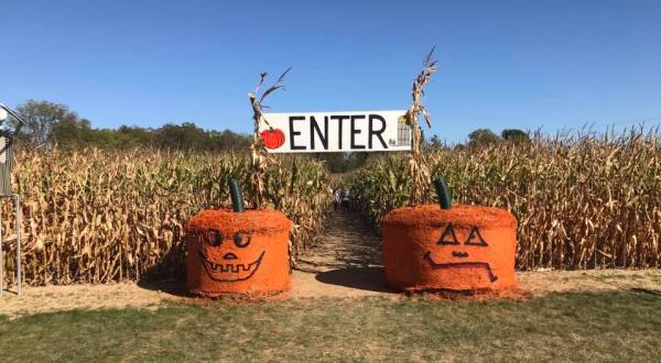 Get Lost In This Awesome 10-Acre Corn Maze Near Detroit This Autumn