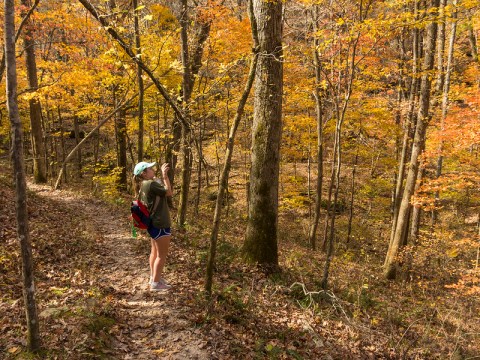 It's Almost Time For The Explosion Of Fall Foliage Around Arkansas' Buffalo National River And We Can't Wait