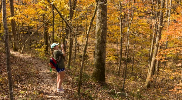 It’s Almost Time For The Explosion Of Fall Foliage Around Arkansas’ Buffalo National River And We Can’t Wait