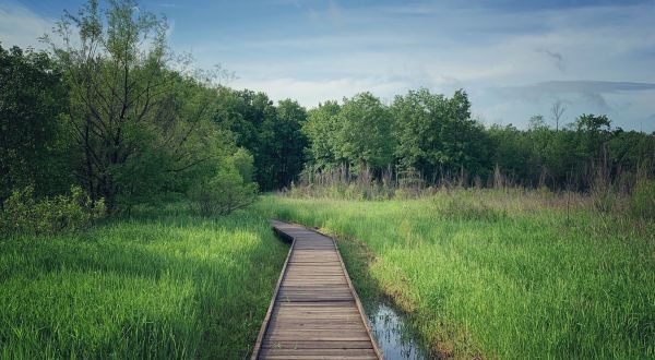This Missouri Park Has Endless Boardwalks And You’ll Want To Explore Them All