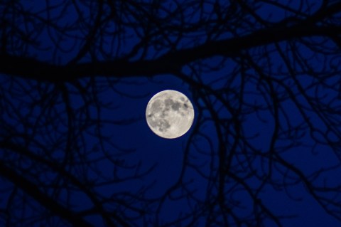 Folklore Predicts A Full Blue Moon Over Ohio This Halloween Because 2020 Wasn't Strange Enough