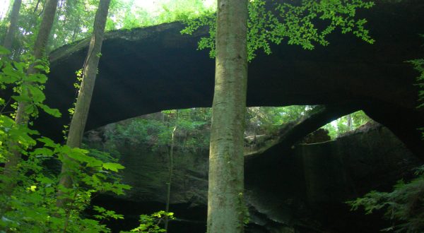 These 10 Beautiful Hidden Treasures Are Just Waiting To Be Discovered In Alabama