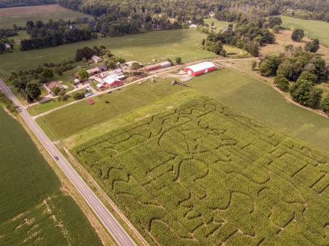 There's A Hay Bale Obstacle Course, Petting Zoo, Corn Maze And More At Guyette Farms In Ohio
