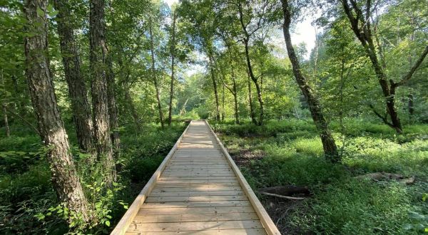 Hike Along A New Boardwalk Added To The Scenic Hematite Lake Trail In Kentucky