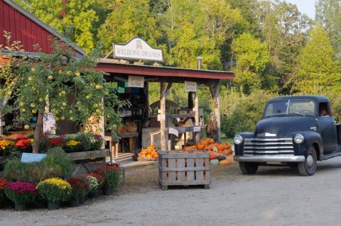The Shelburne Orchards In Vermont Is A Classic Fall Tradition