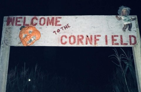 Find Your Way Through A Terrifying Ohio Corn Maze At Putnam County's Haunted Cornfield