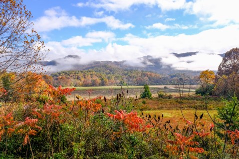 2020's Fall Colors Could Be The Best Georgia Has Seen In Years