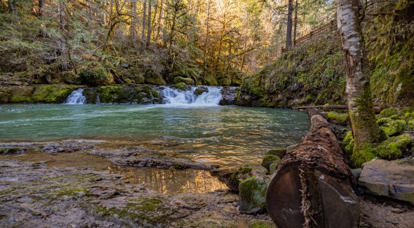You’ll Want To Spend The Entire Day At The Gorgeous Natural Pool On The Edge Of Oregon’s Umpqua National Forest