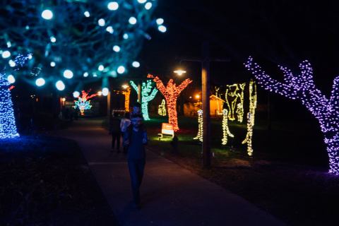 The Whimsical One-Mile ZooLights Experience In Louisiana Will Take You On A Spectacular Nighttime Adventure