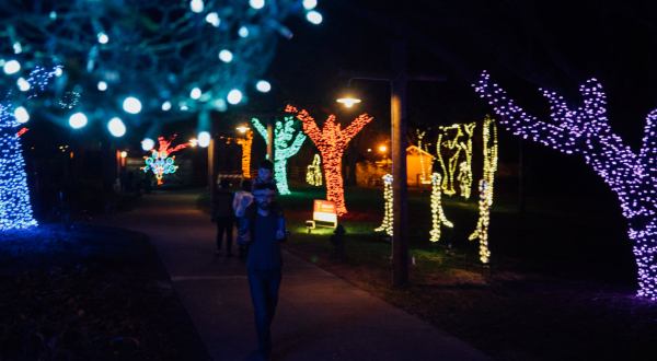 The Whimsical One-Mile ZooLights Experience In Louisiana Will Take You On A Spectacular Nighttime Adventure