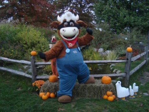 Pick Pumpkins And Meet Farm Animals At Davis Farmland In Massachusetts