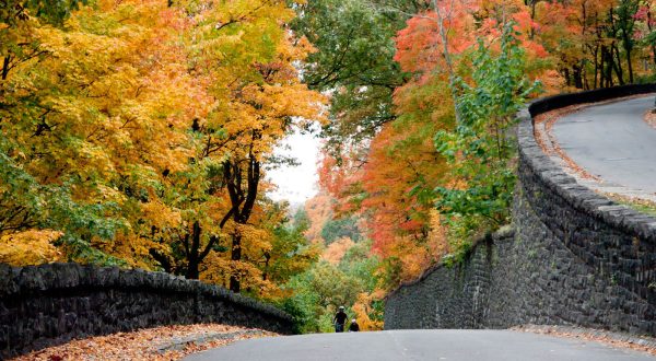 Everyone In New Jersey Should Take This Underappreciated Scenic Drive
