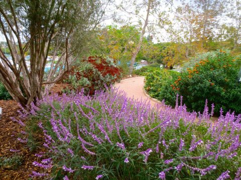 The Tiny Botanical Garden In Southern California, Manhattan Beach Botanical Garden, Is A Little-Known Local Gem