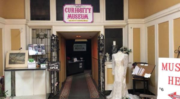 The Curiosity Museum Is One Of The Strangest Places You Can Go In Illinois