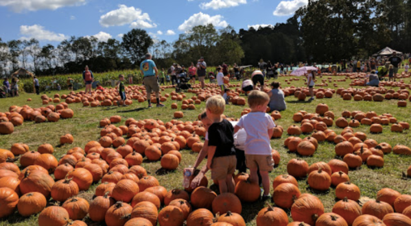 Mrs. Heather’s Pumpkin Patch Near New Orleans Is The Perfect Fall Family Day
