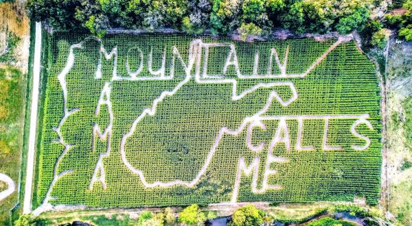 The Old McDonald’s Corn Maze In West Virginia Is A Classic Fall Tradition