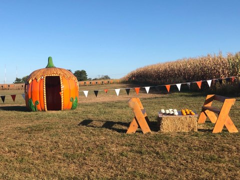 Summers Farm In Maryland Is A Classic Fall Tradition